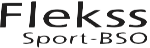 Flekss_Logo